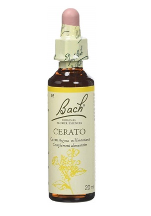 BACH FLOWER N°5 CERATO = PLUMBAGO