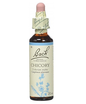 BACH FLOWER CHICORY = CHICOREE N°8