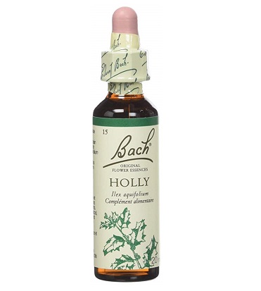 BACH FLOWER N° 15 HOLLY = HOUX