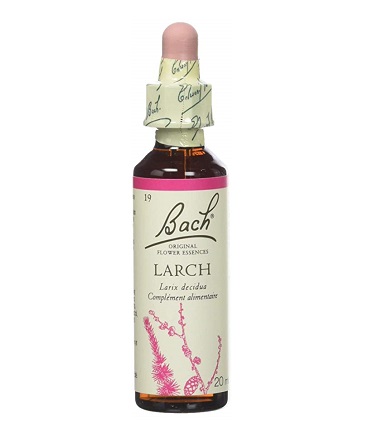 BACH FLOWER N° 19 LARCH = MELEZE