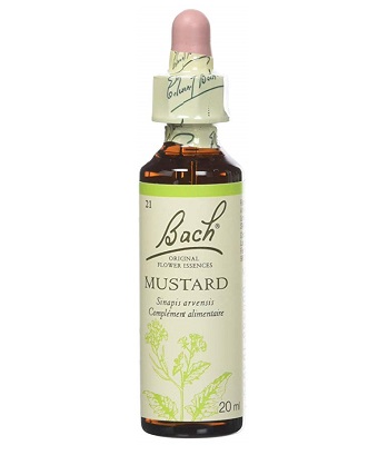 BACH FLOWER N°21 MUSTARD = MOUTARDE SAUVAGE