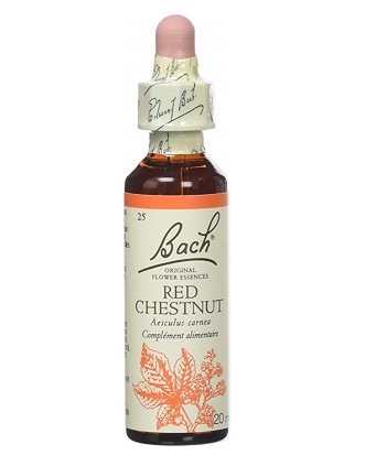 BACH FLOWER N° 25 RED CHESTNUT = MARRONNIER ROUGE