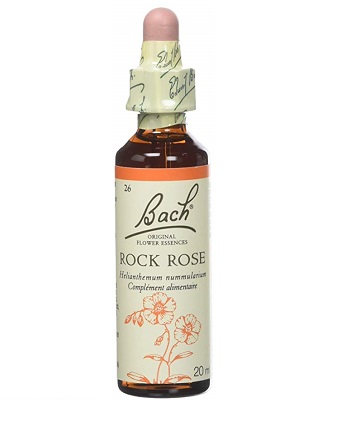 BACH FLOWER N°26 ROCK ROSE = HELIANTHEME