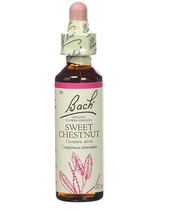 BACH FLOWER N° 30 SWEET CHESTNUT = CHATAIGNIER