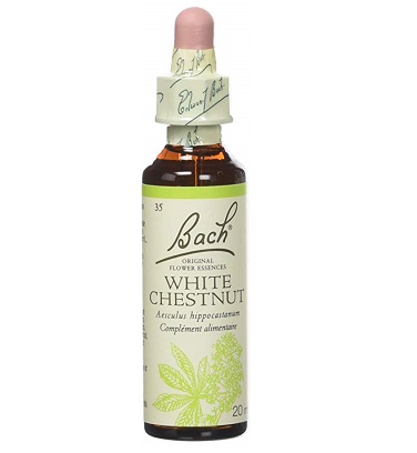 BACH FLOWER N° 35 WHITE CHESTNUT= MARRONNIER BLANC