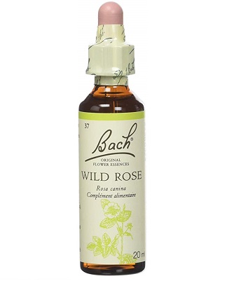 BACH FLOWER WILD ROSE N° 37