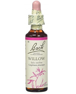 BACH FLOWER N°38 WILLOW = SAULE