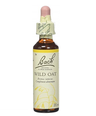 BACH FLOWER WILD OAT N° 36