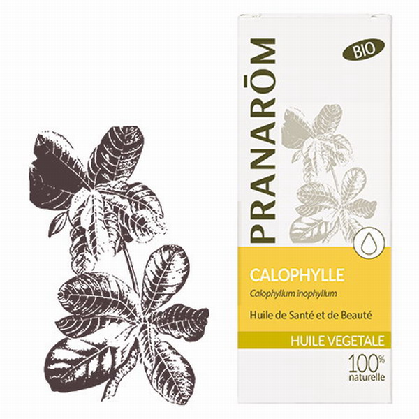 CALOPHYLLE BIO 50ML PRANAROM