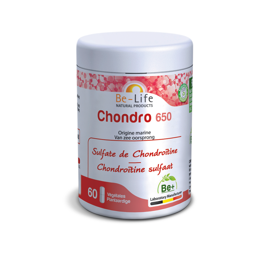 CHONDRO 650 60 GEL BIOLIFE