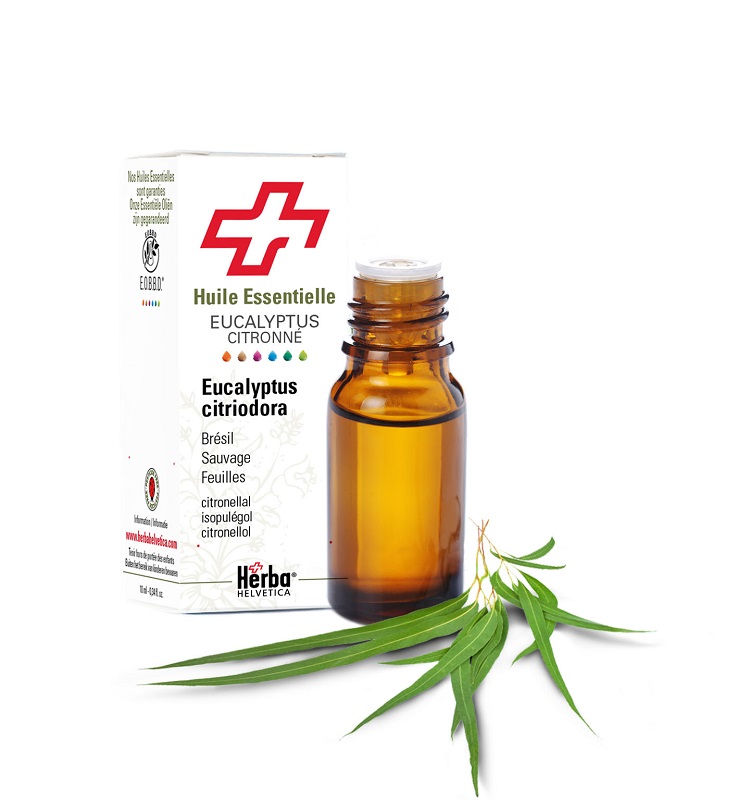 EUCALYPTUS CITRONE 10ML