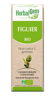 FIGUIER 50 ML HERBALGEM