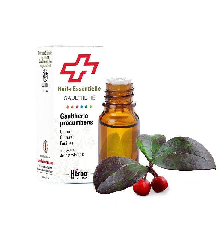 GAULTHERIE HUILE ESSENTIELLE HERBA HELVETICA 10 ML