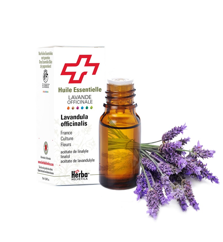 LAVANDE OFFICINALE HUILE ESSENTIELLE HERBA HELV