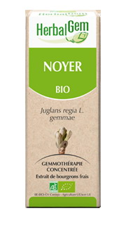 NOYER 50 ML HERBALGEM