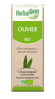 OLIVIER 50 ML HERBALGEM