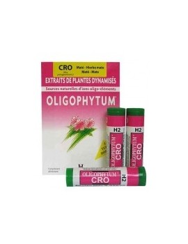 OLIGOPHYTUM CHROME