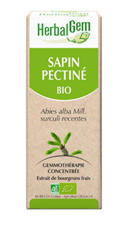 SAPIN PECTINE 50 ML HERBALGEM