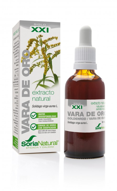 SOLIDAGO T.M. SORIA