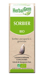 SORBIER 50 ML HERBALGEM