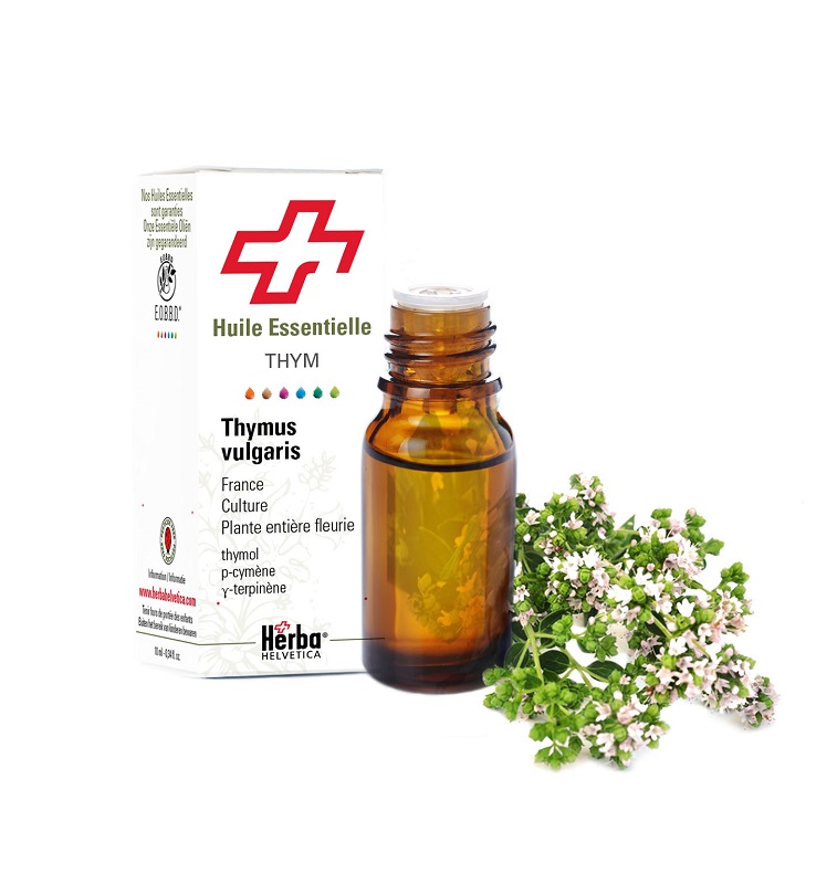 THYM VULGAIRE THYMOL HERBA HELVETICA