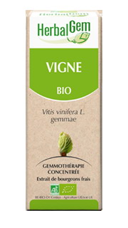 VIGNE 50 ML HERBALGEM