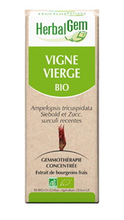 VIGNE VIERGE 50 ML HERBALGEM