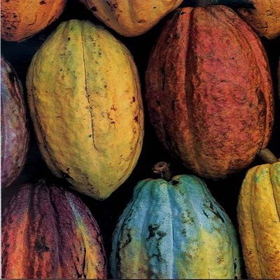 CACAO