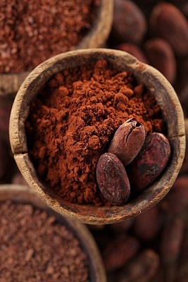 POUDRE DE CACAO